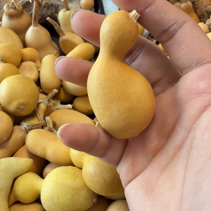 大***星89……………………………………