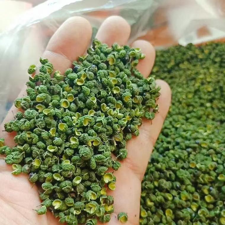 贵州道真九叶青花椒