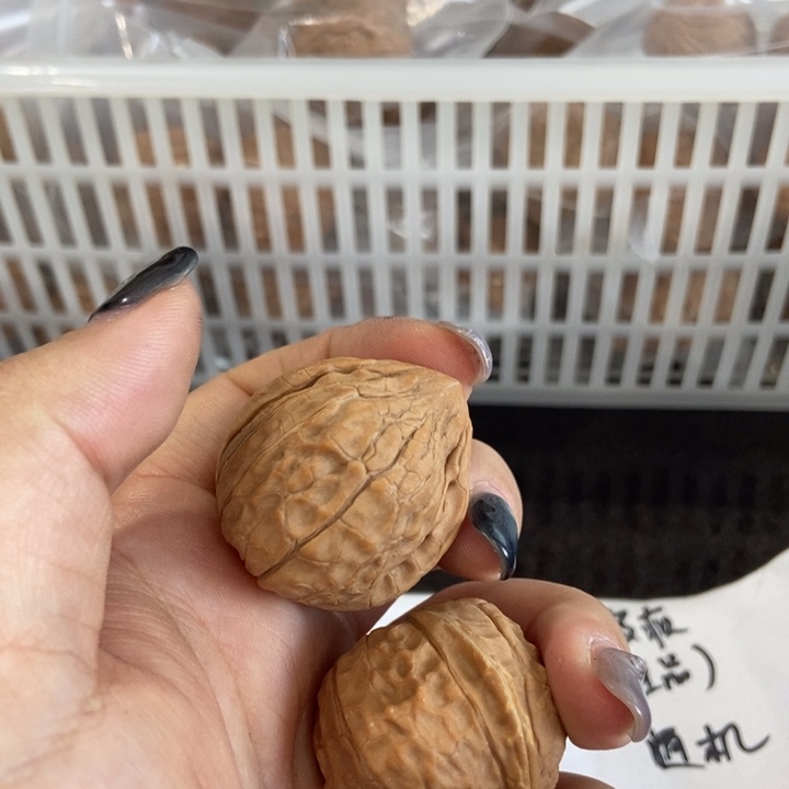 吊坠文玩核桃龟甲纹瑕疵