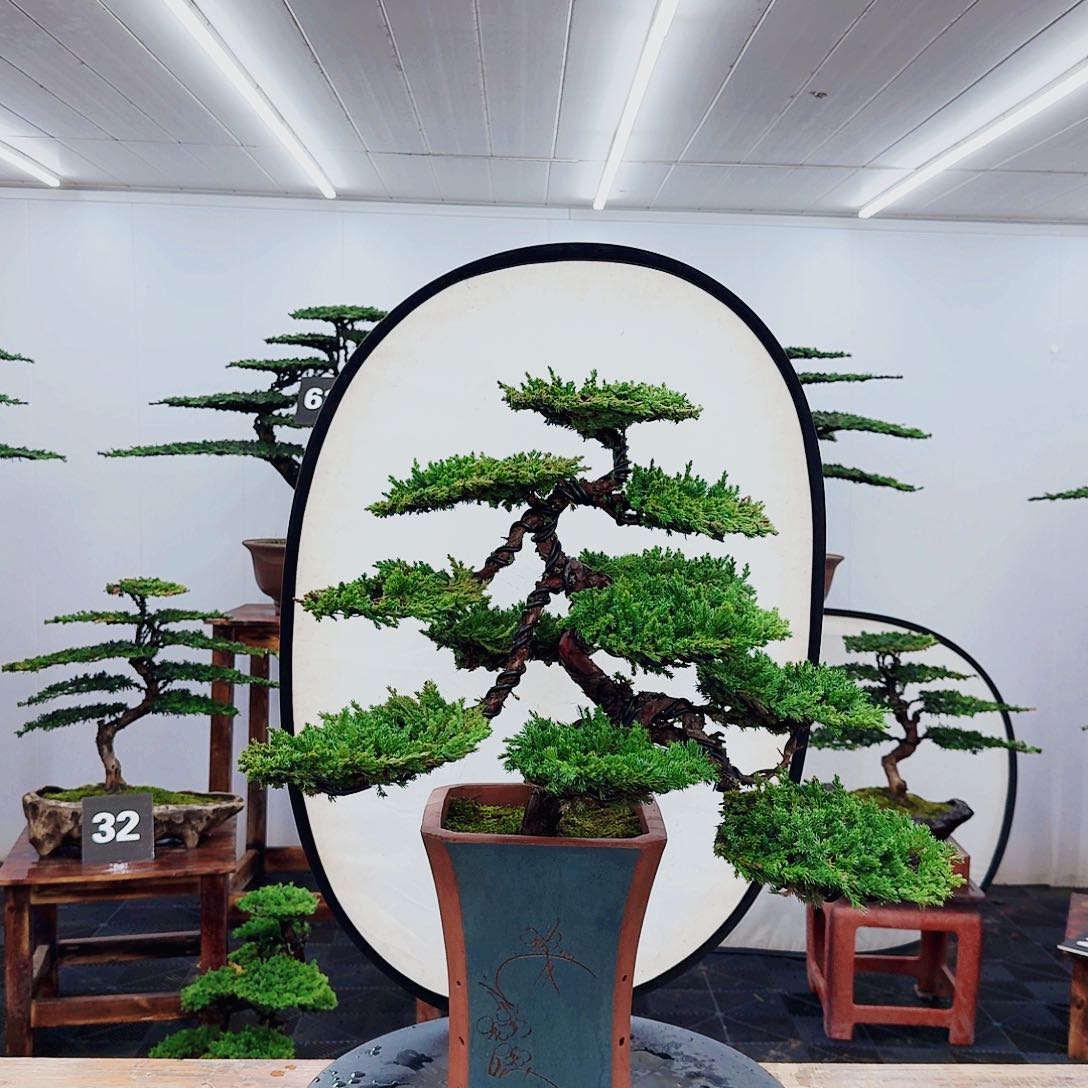 无花朵0000000000000