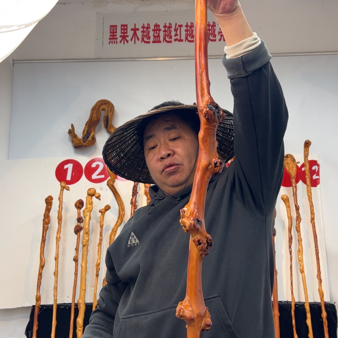 隋***下黑果木其他黑果木279
