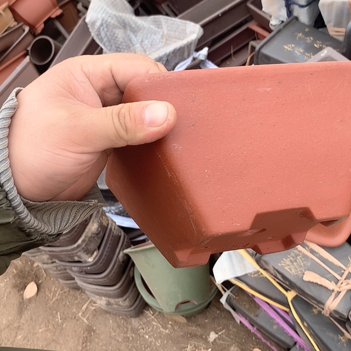 紫砂优秀奖等人多