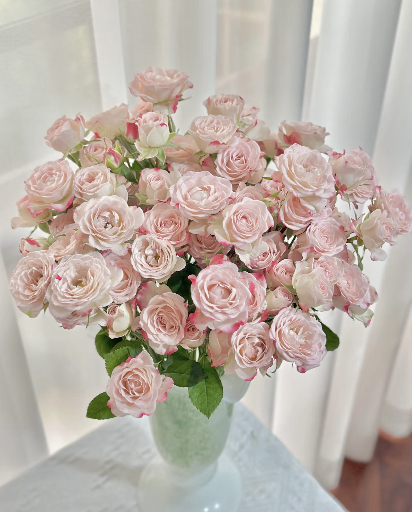 折射多头玫瑰一束云南基地直发