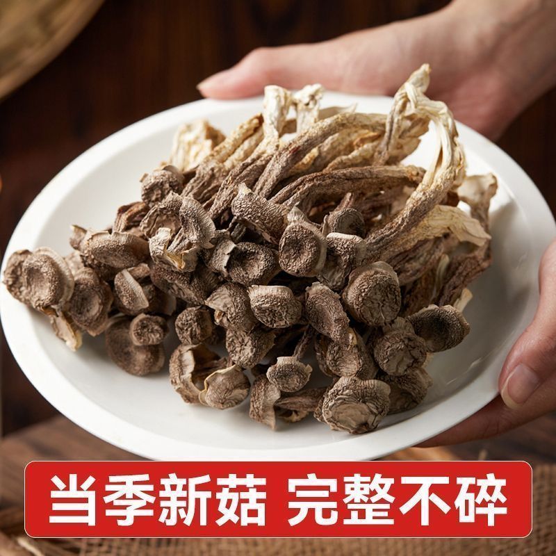 精选鹿茸菇干货整根鹿茸菌菇火锅鲜香脆嫩