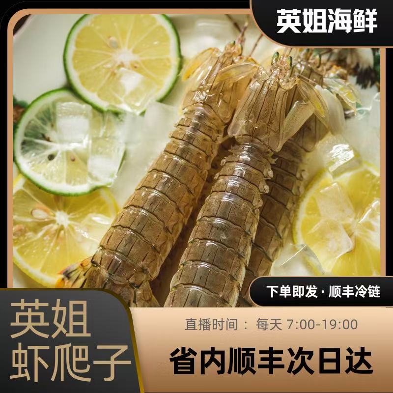 小虾爬公母随机3斤起【仅限沈阳市内三环】上汽3分钟【保鲜不保活】·