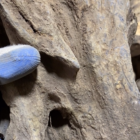 阿***0贡木把件定制123657898