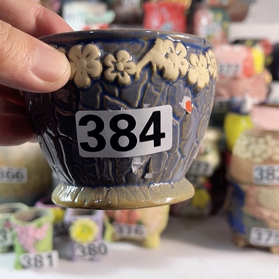 红陶多肉植物花盆