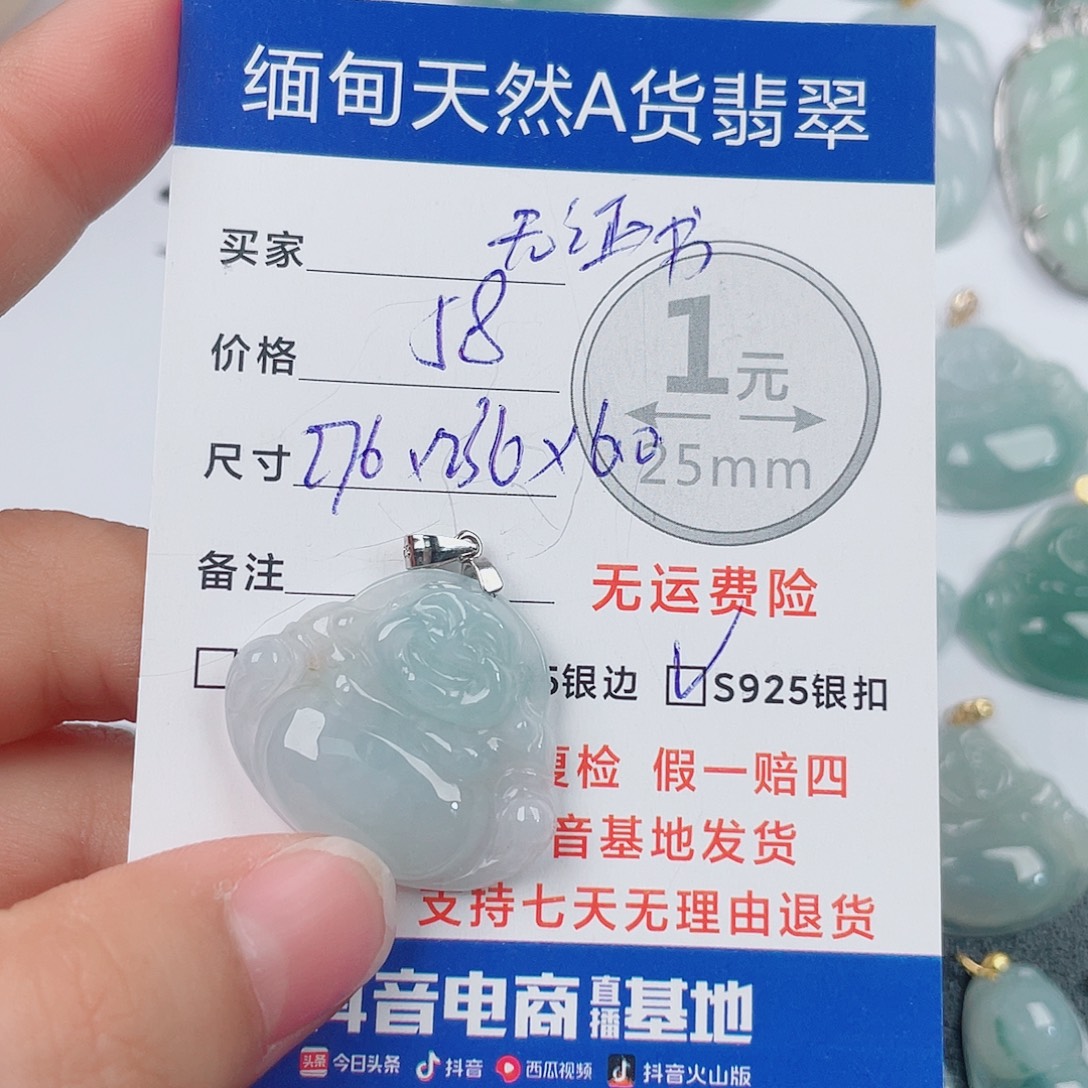 翡翠银S925镶嵌颈饰翡翠