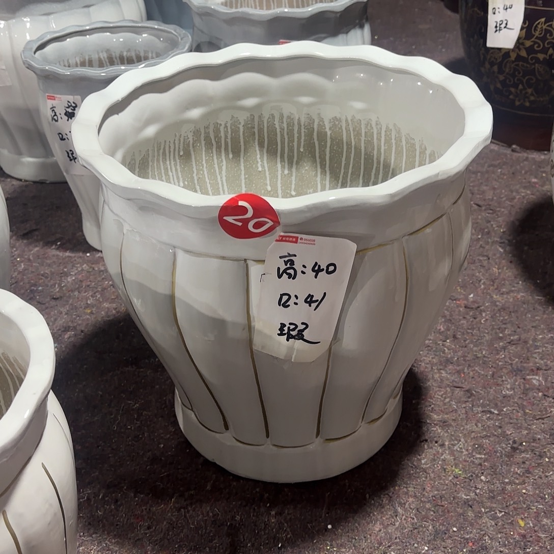 金线南瓜最大号两个