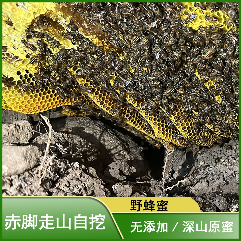 原始森林米深山野蜂蜜土蜂蜜天然蜂巢蜜