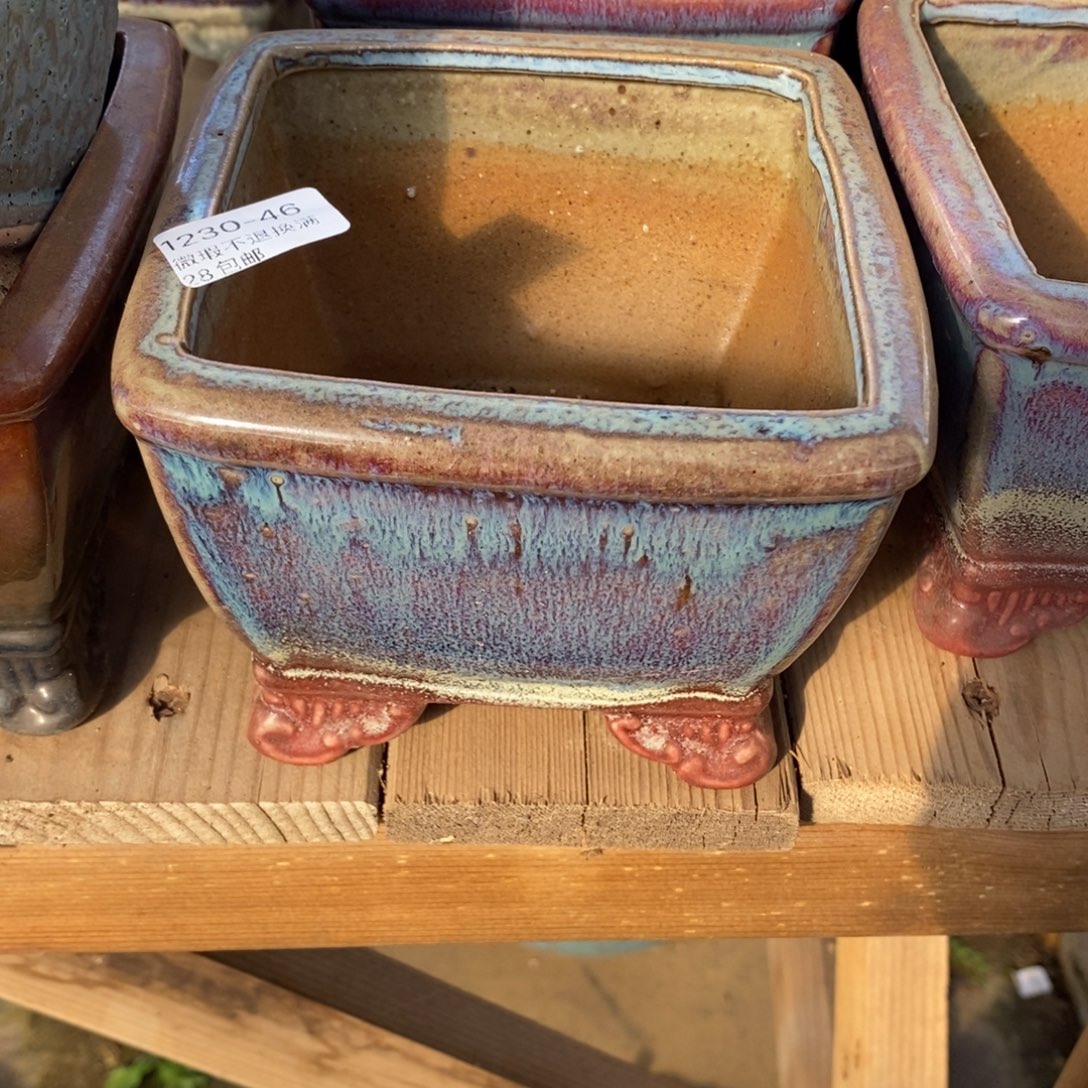 46号多肉盆口径11