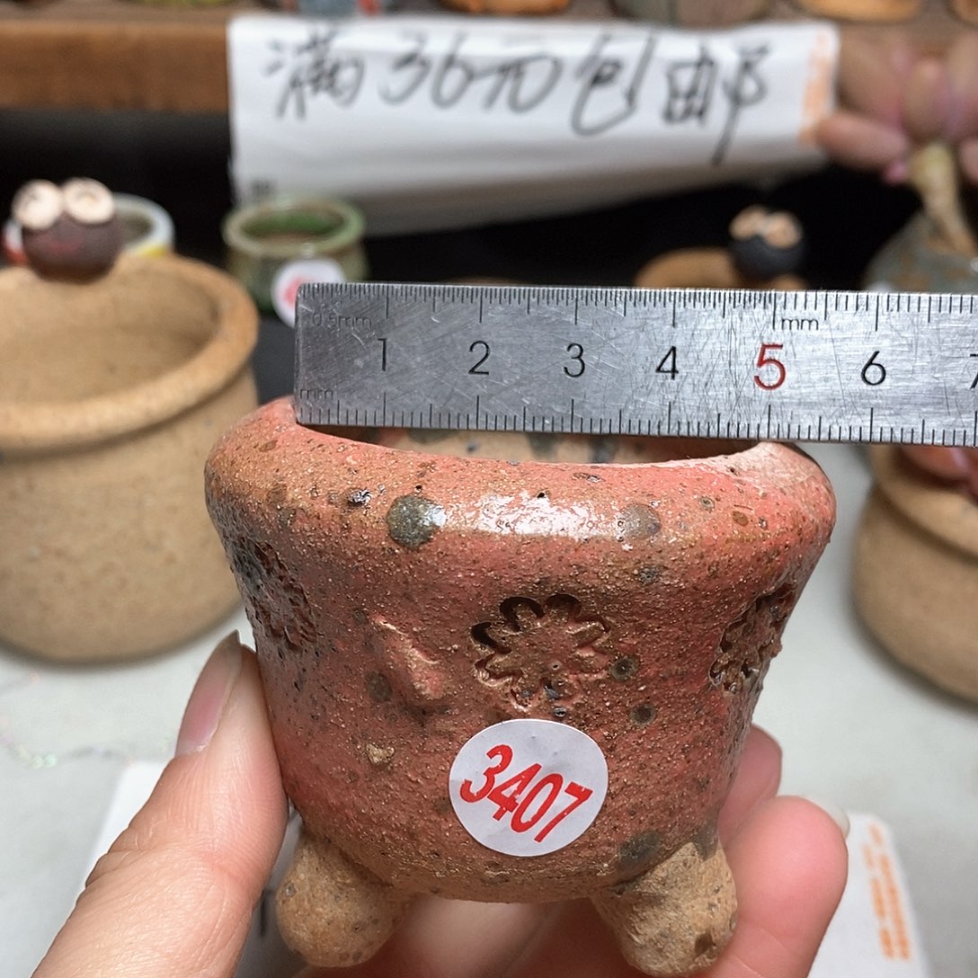 红陶拍5送一个小