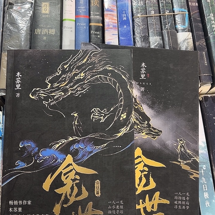 铜钱龛世全新全套两本未删减