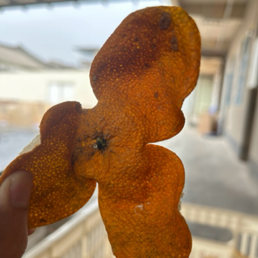 新会陈皮2024年梅江圈枝大红柑皮泡水收藏新皮自家果园