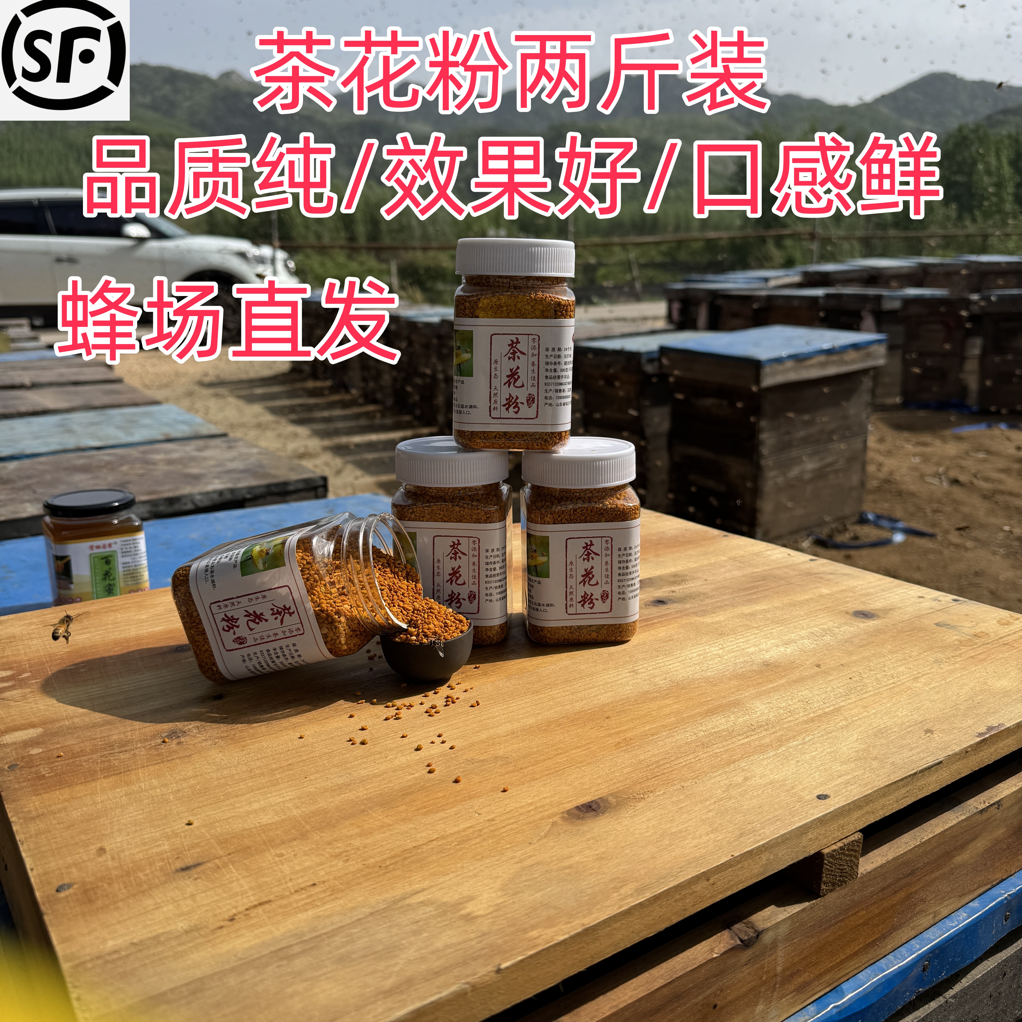 茶花粉1000g四瓶两斤装