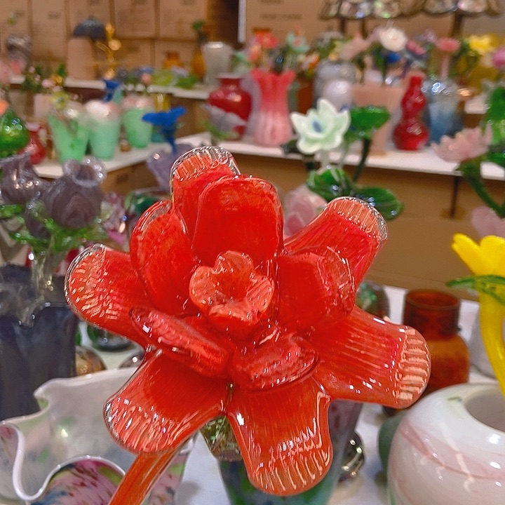 琉璃琉璃花高45口9