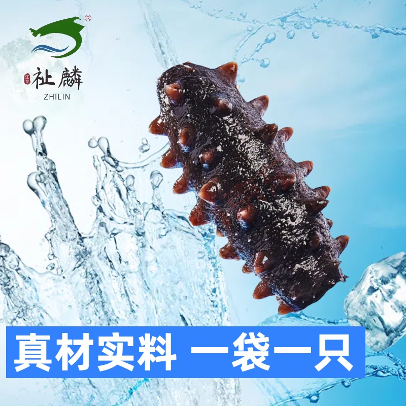 【祉麟】正宗大连辽参8-10头开袋缓化即食2斤装买一斤送一斤