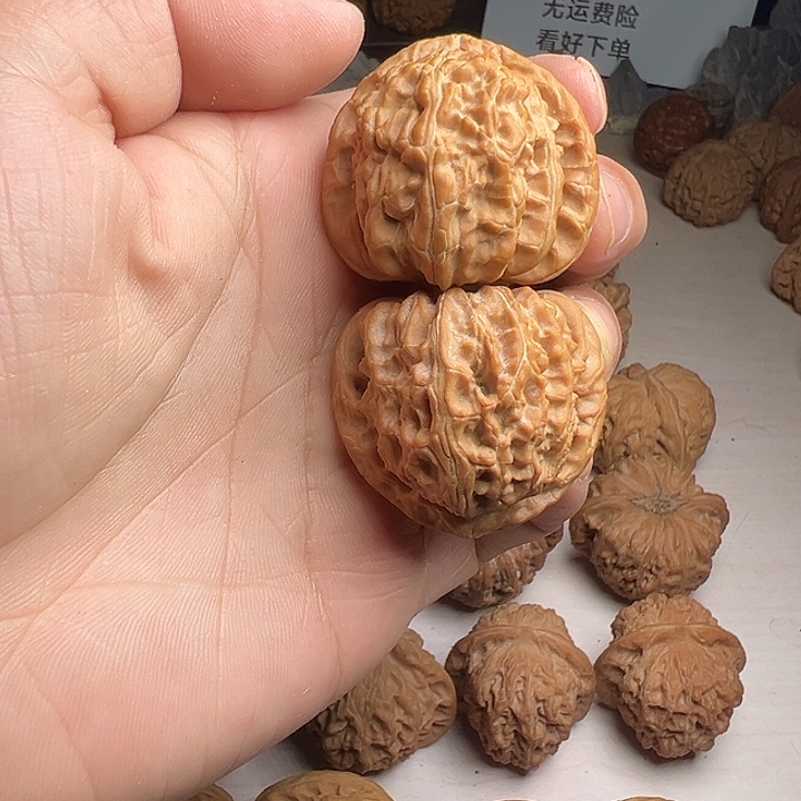 全品三角白狮子头