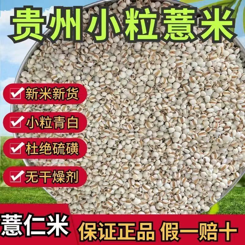 贵州优选小薏米新货药食用新鲜薏仁米正宗兴仁意米农家自产苡米仁