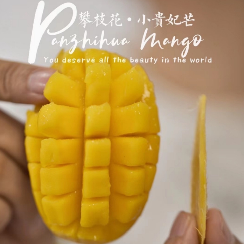攀枝花小贵妃芒果新鲜应季香甜多汁肉嫩热带水果产地直发坏果包赔