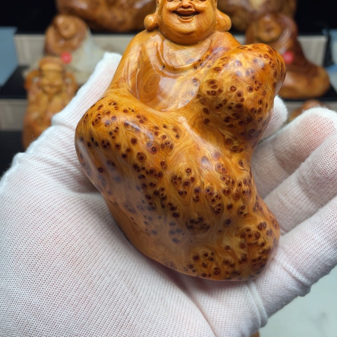 柏木（崖柏）3*226578865556688999999