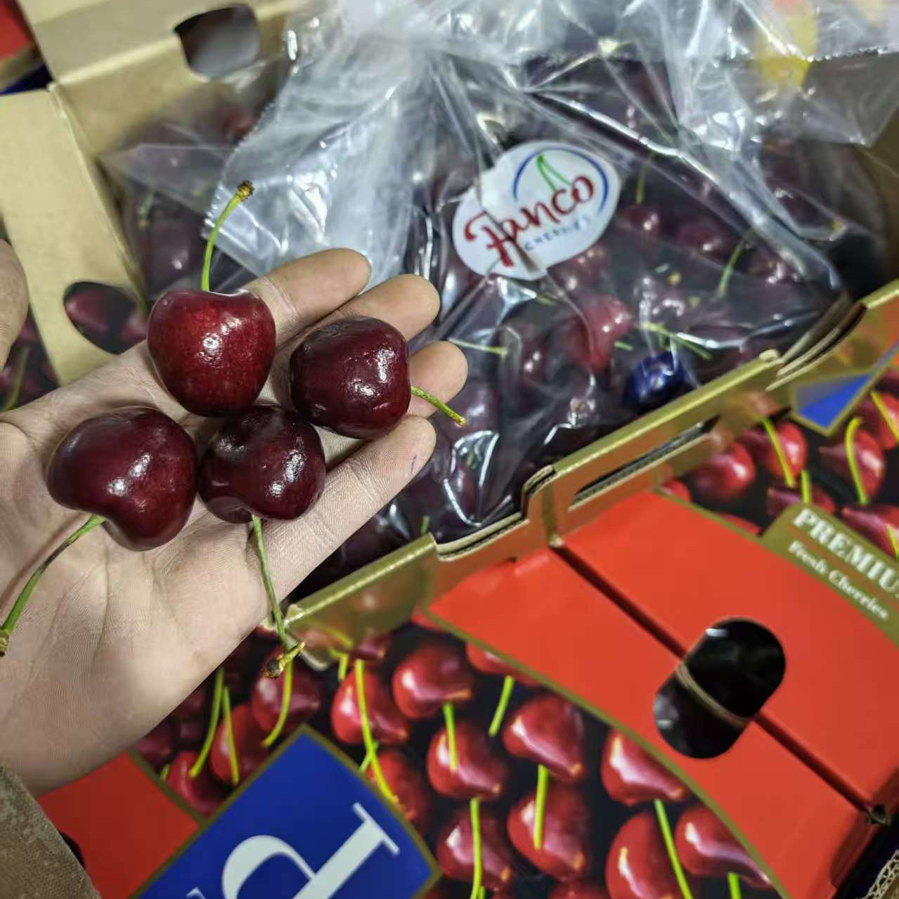 智利进口空运车厘子5斤原包装J-4J尺寸齐全桑提娜智利