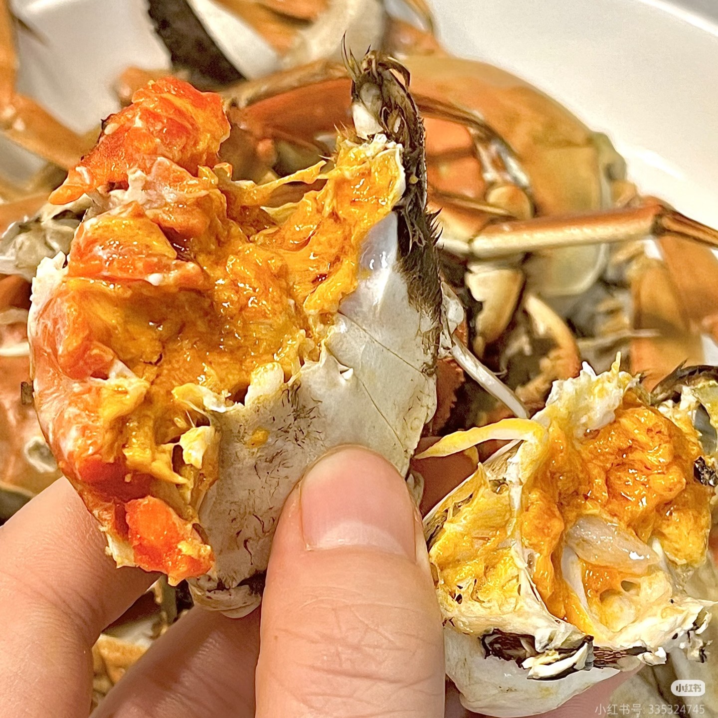 残母2斤【3.5-4两或以上】【wu售后】缺胳膊短腿质量好