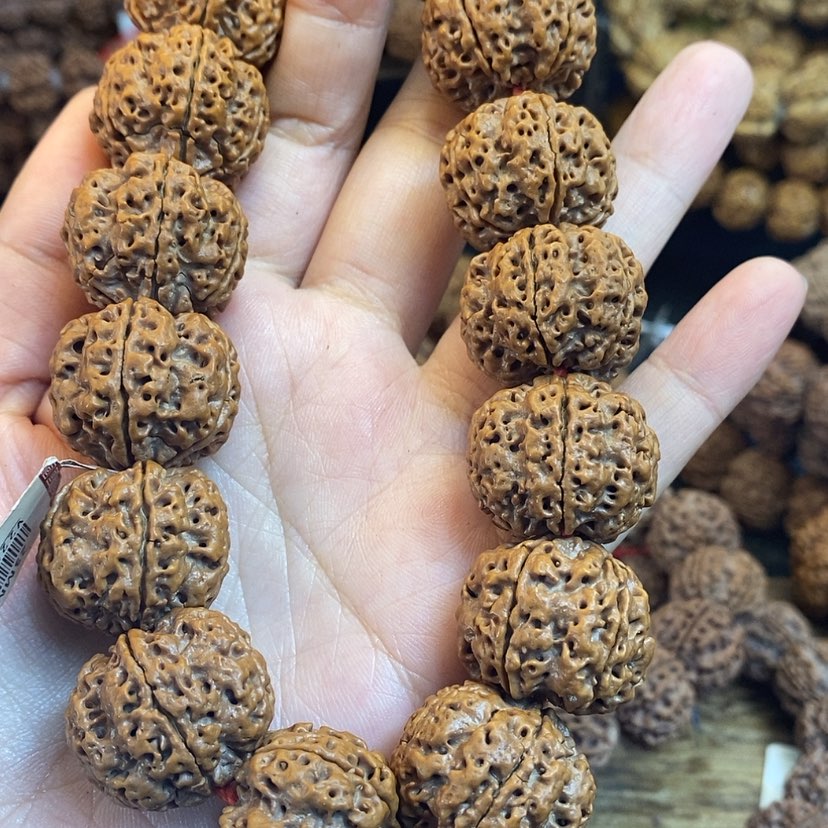 【闪购商品】手串金刚菩提雨**整黄皮粗筋大梅花