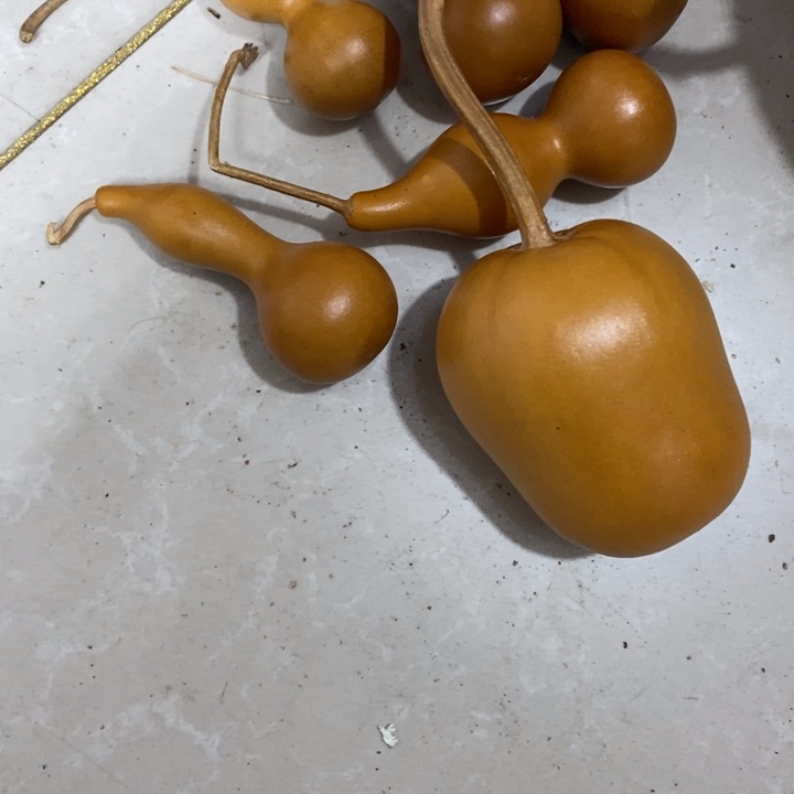 钮***柳葫芦………………………………