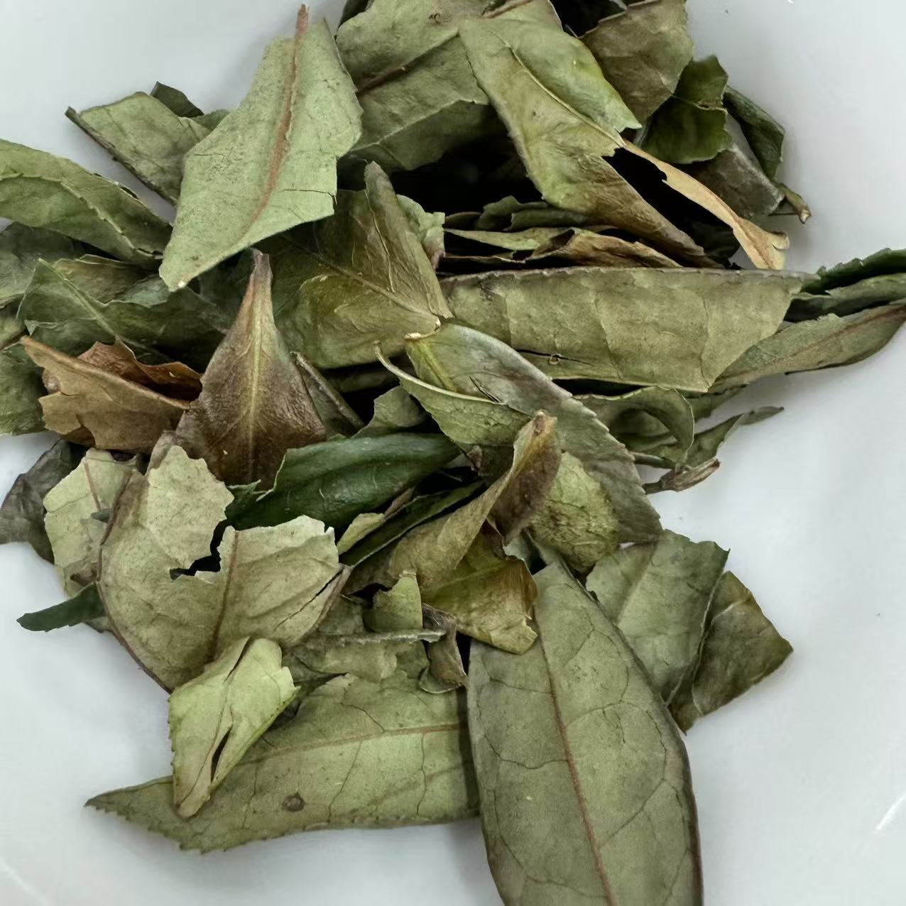 【福利】福鼎白茶，有机菜茶2023年·群体种小菜茶·虫咬·碳焙