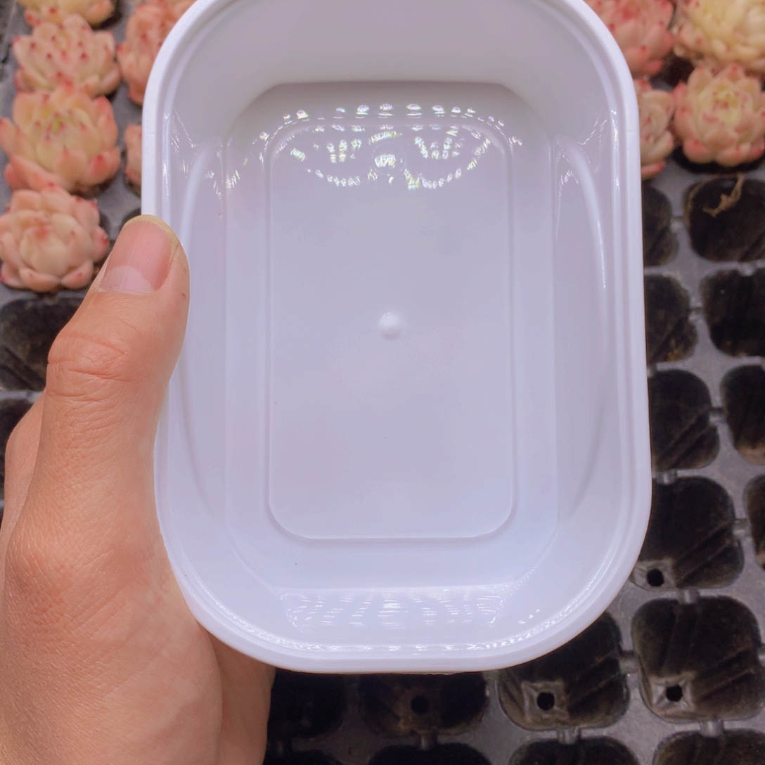 瑞***尼单双混拼冰玉的024