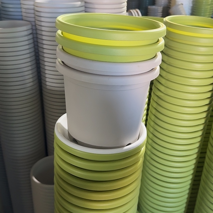 四季3#口径21果绿10个无托