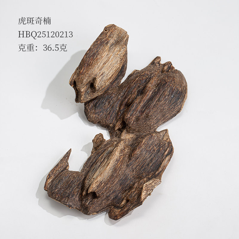 1219柴叔专场 | 虎斑奇HBQ25120213克重:36.5克