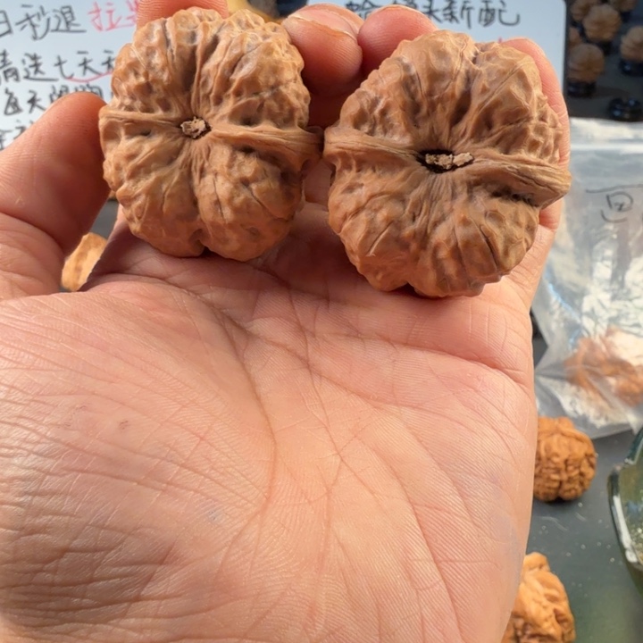 T***y文玩核桃吊坠蛤蟆的眼睛是真的好看