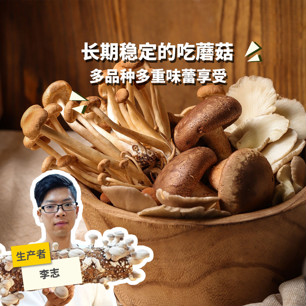 生态蘑菇份额 250g/500g*24次 每周配送 广东