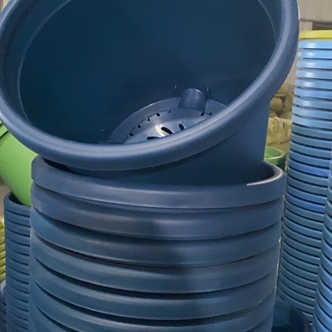 树脂四季5号藏青无托6个