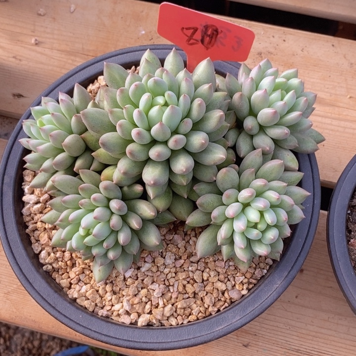 在家干的好无聊的