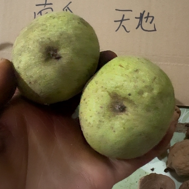 吊坠文玩核桃表****元宝青皮