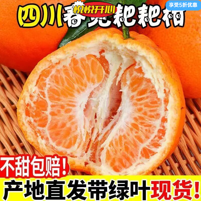 主播（现摘现发）四川春见耙耙柑应季新鲜果正宗柑橘整箱