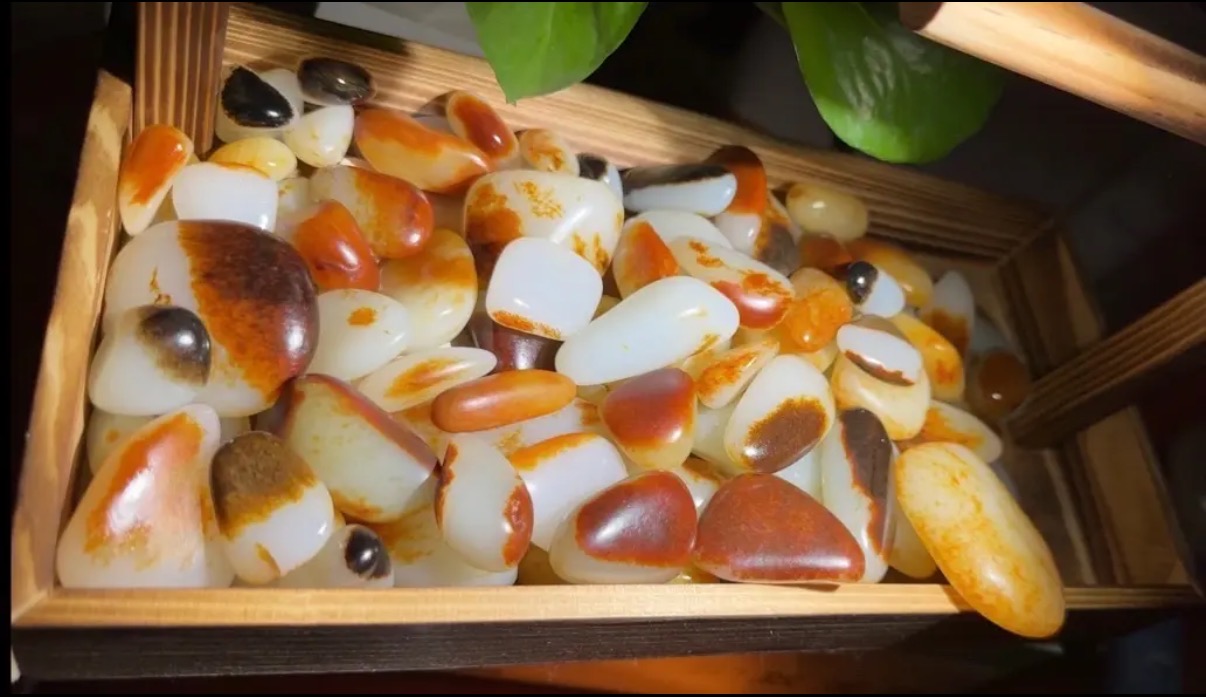 新疆戈壁奇石小籽