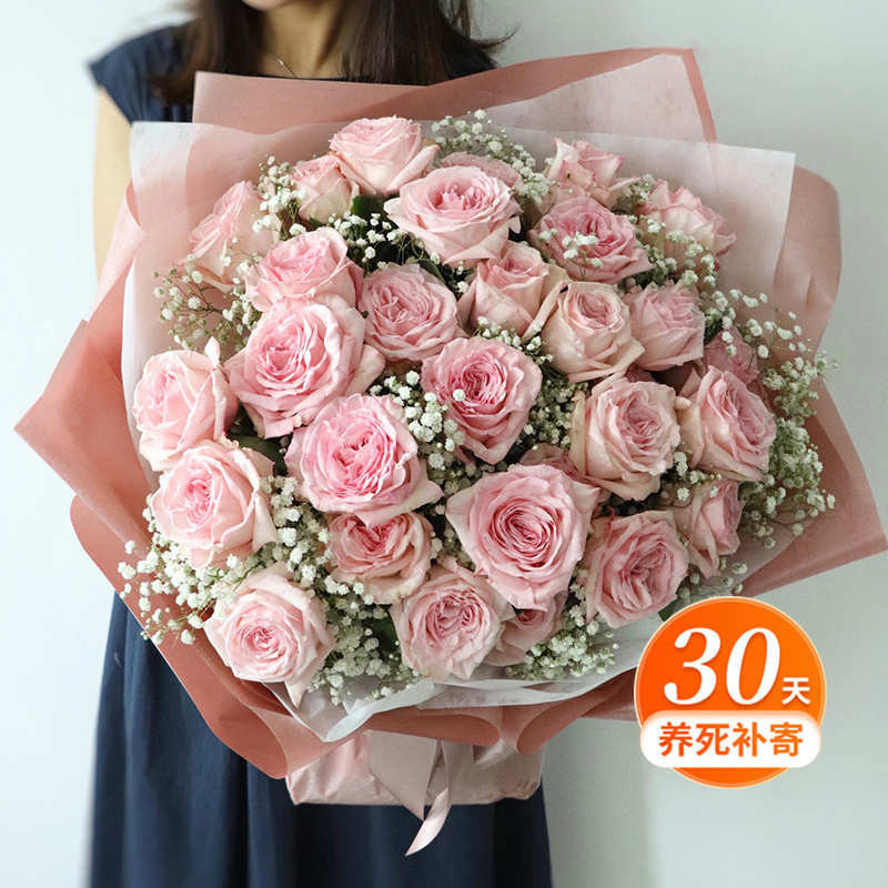 天狼月季 粉哈娜/粉荔枝 粉色多季大花杂交茶香月季盆栽