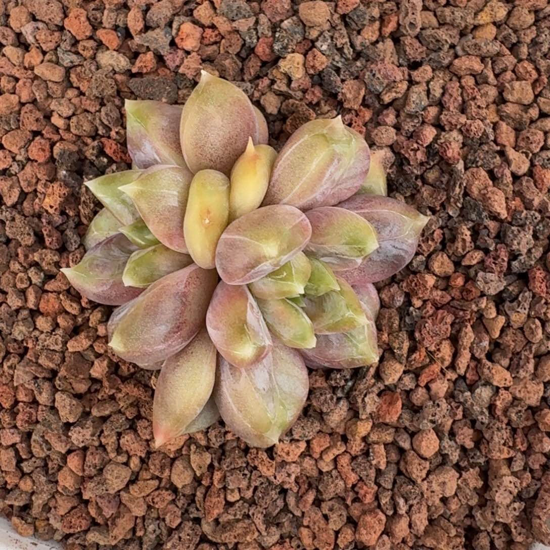 敏***姐啊啊啊啊啊啊啊啊啊啊啊