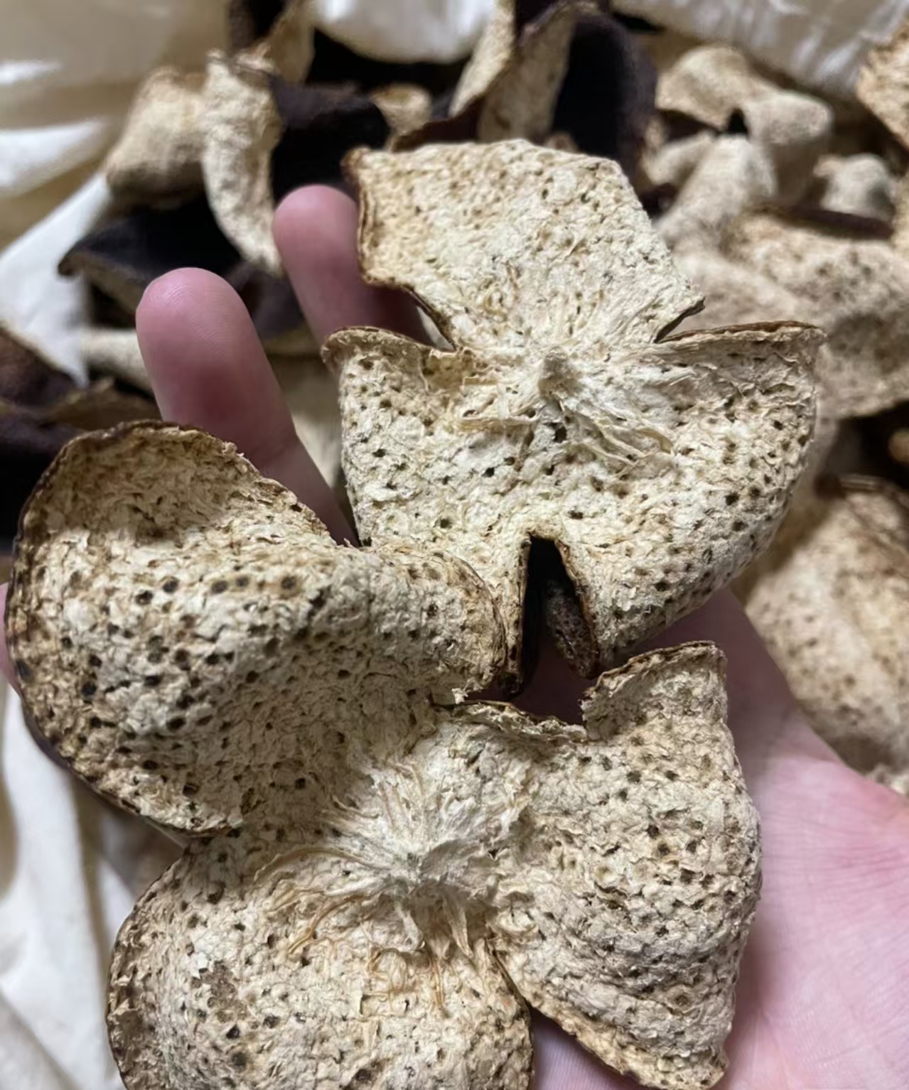 东甲2019年新会陈皮大红皮 基本整皮少量断皮   12年老树皮