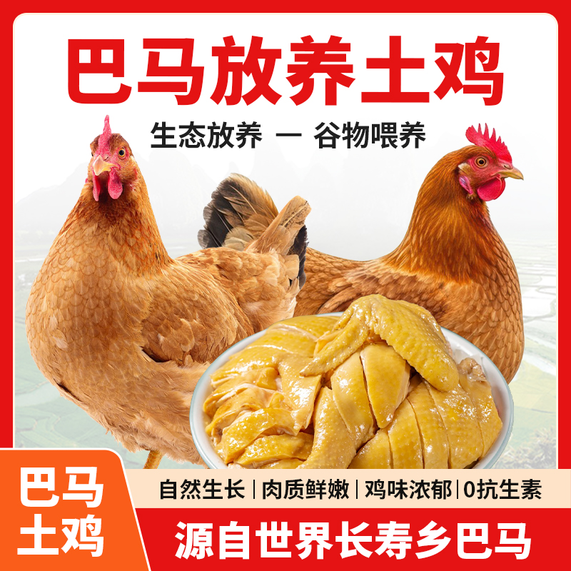 广西巴马纯放养土鸡 毛重4-5斤顺丰冷链空运送货上门