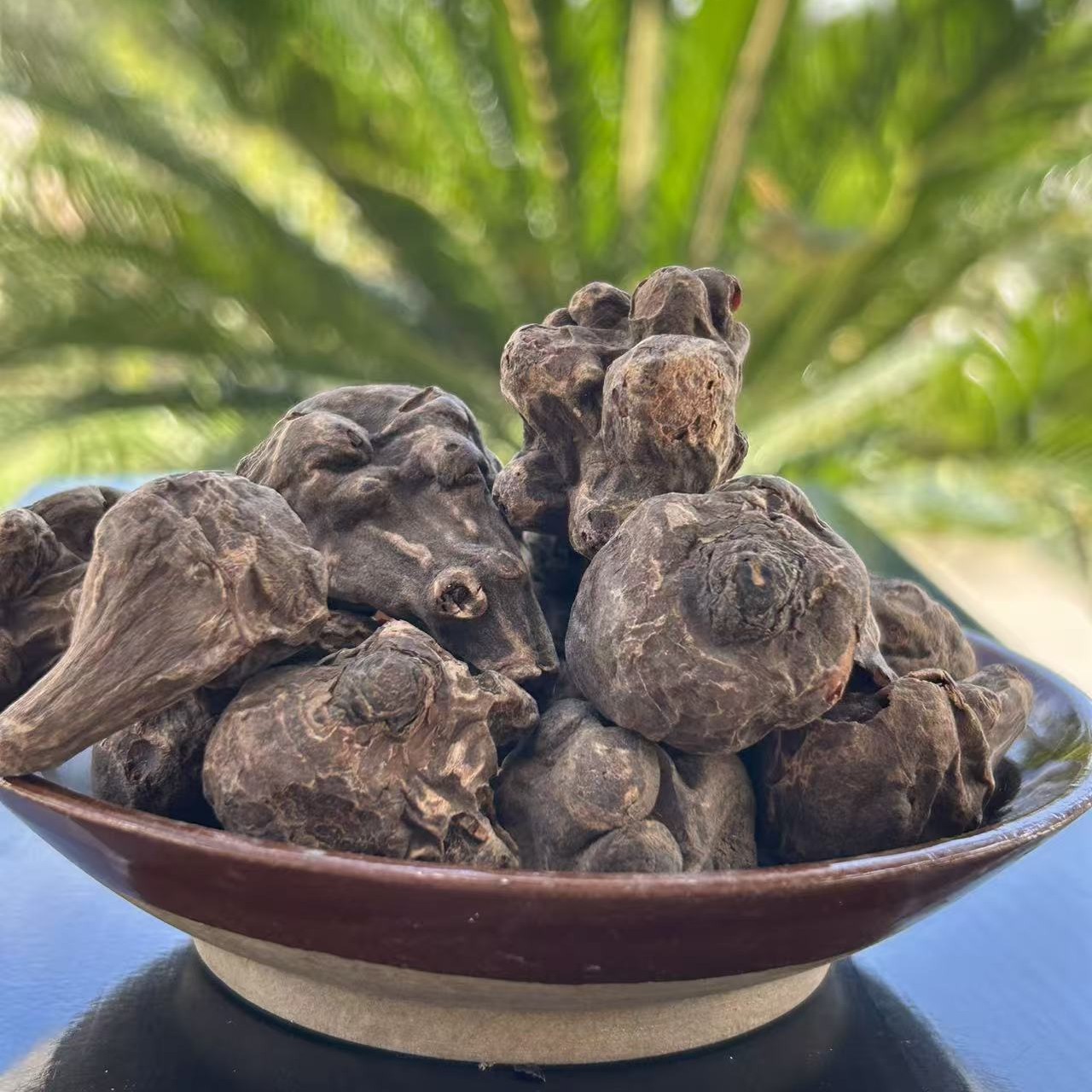 正宗江油雄   ，柳木，   母头