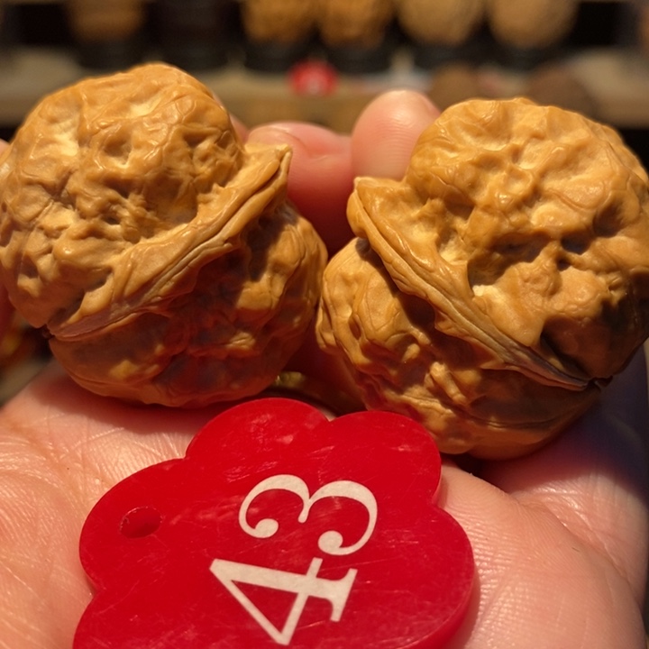 木质类双龙疙瘩包36尺寸