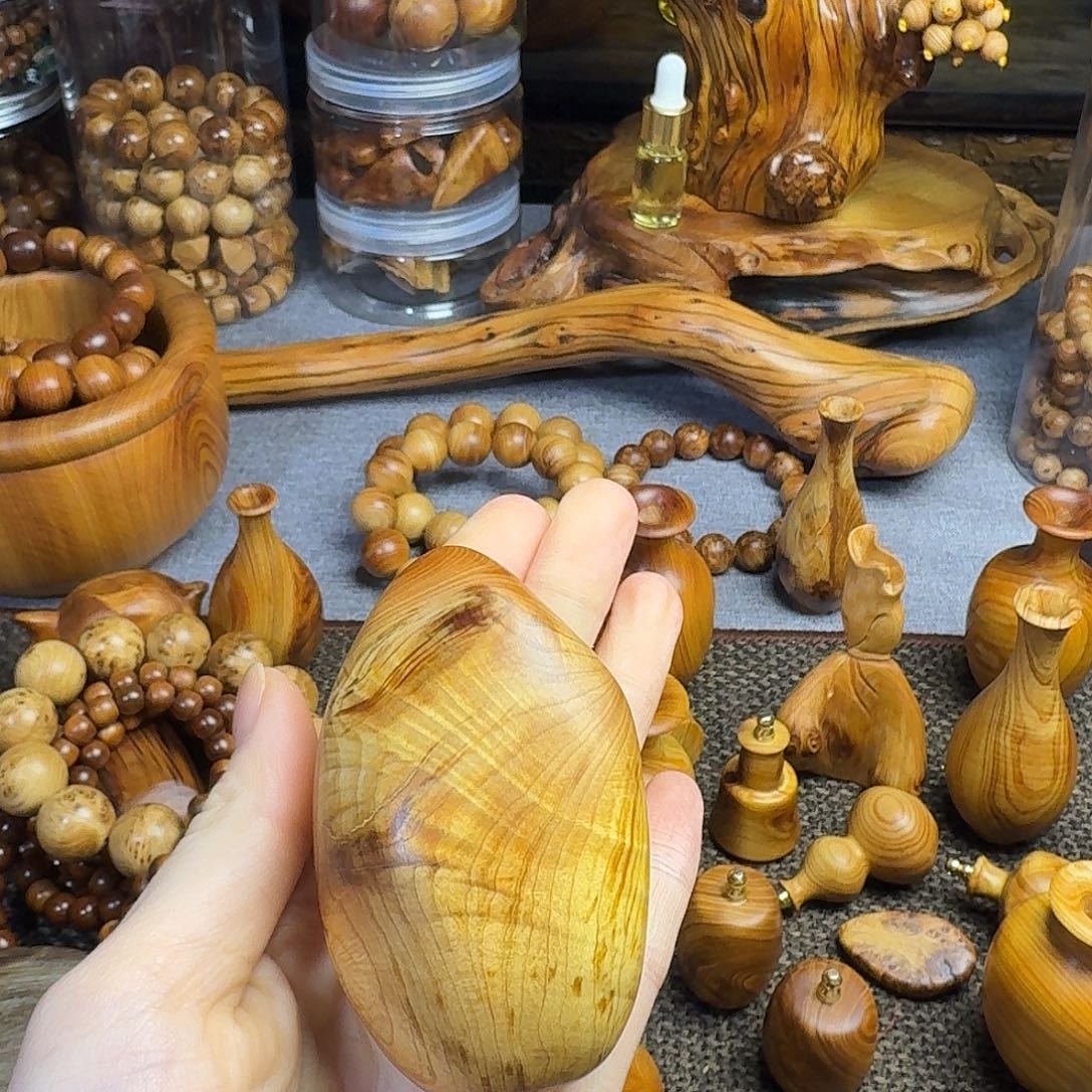 小***学柏木（崖柏）北太行崖柏