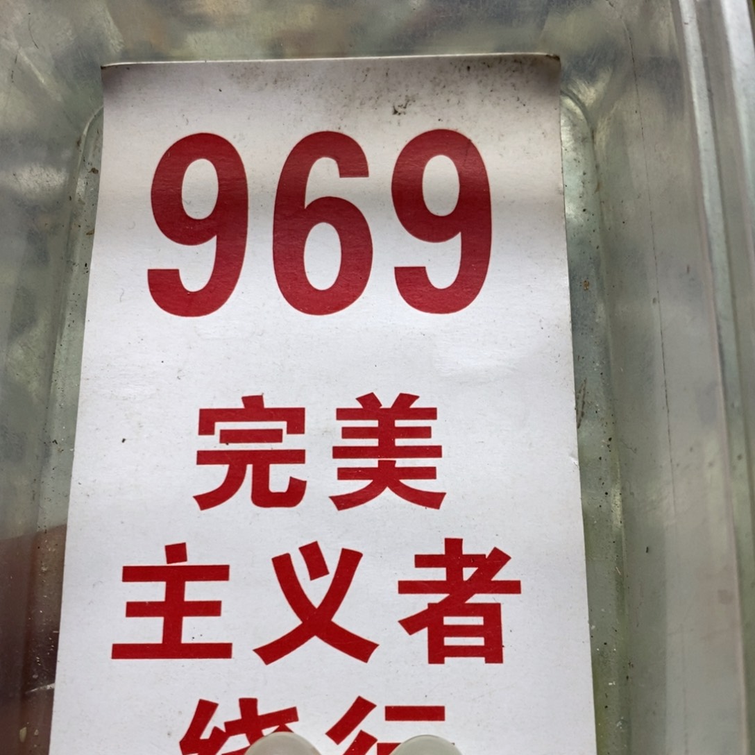 蛇纹石玉挂坠未镶嵌