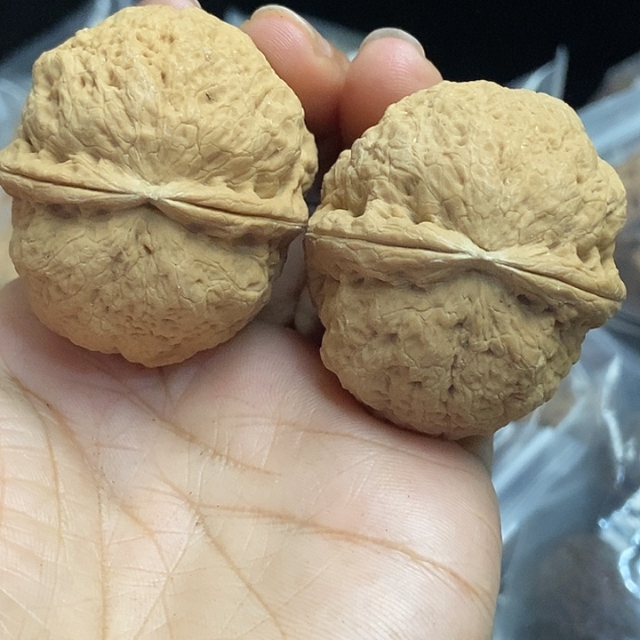 木质类云南铁核桃+78