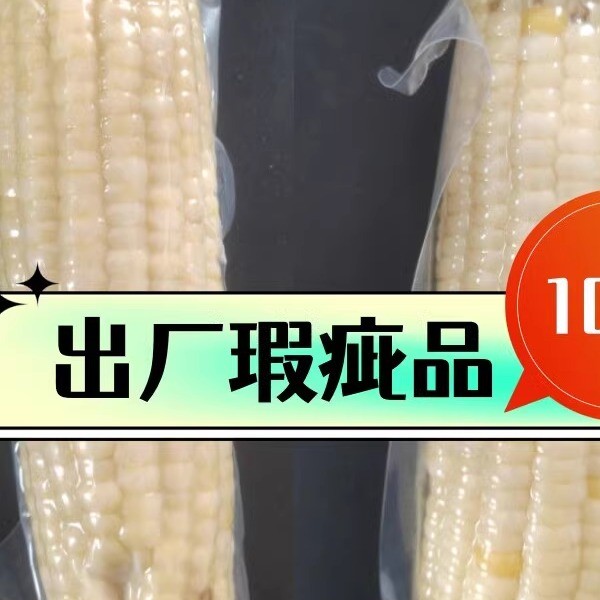 【诚信古塔玉米】2024小瑕疵东北软糯香甜粘玉米棒现货包邮